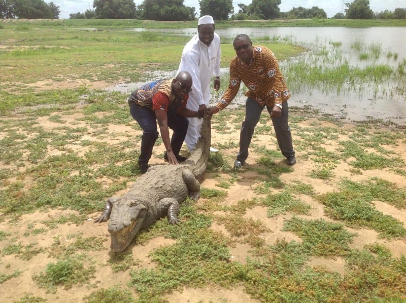 paga-slave-camp-and-crocodile-pool