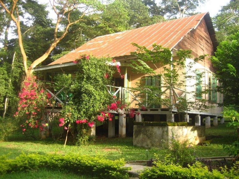 bobiri-forest-and-butterfly-sanctuary